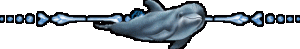 dauphin
