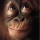 Avatar de le blabla de l'espace